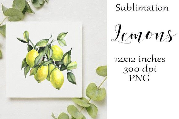 Sublimation Watercolor Lemons PNG: Graphics & Illustrations Review